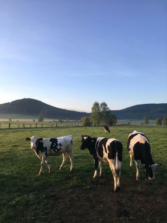 Siedem Lanow Villa Radkow Buitenkant foto